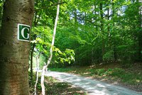 Numerous hiking trails related to Goethe can be discovered in Thuringia. Photo: Anne-Marie Hartung