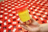 Polymers - strong in Thuringia