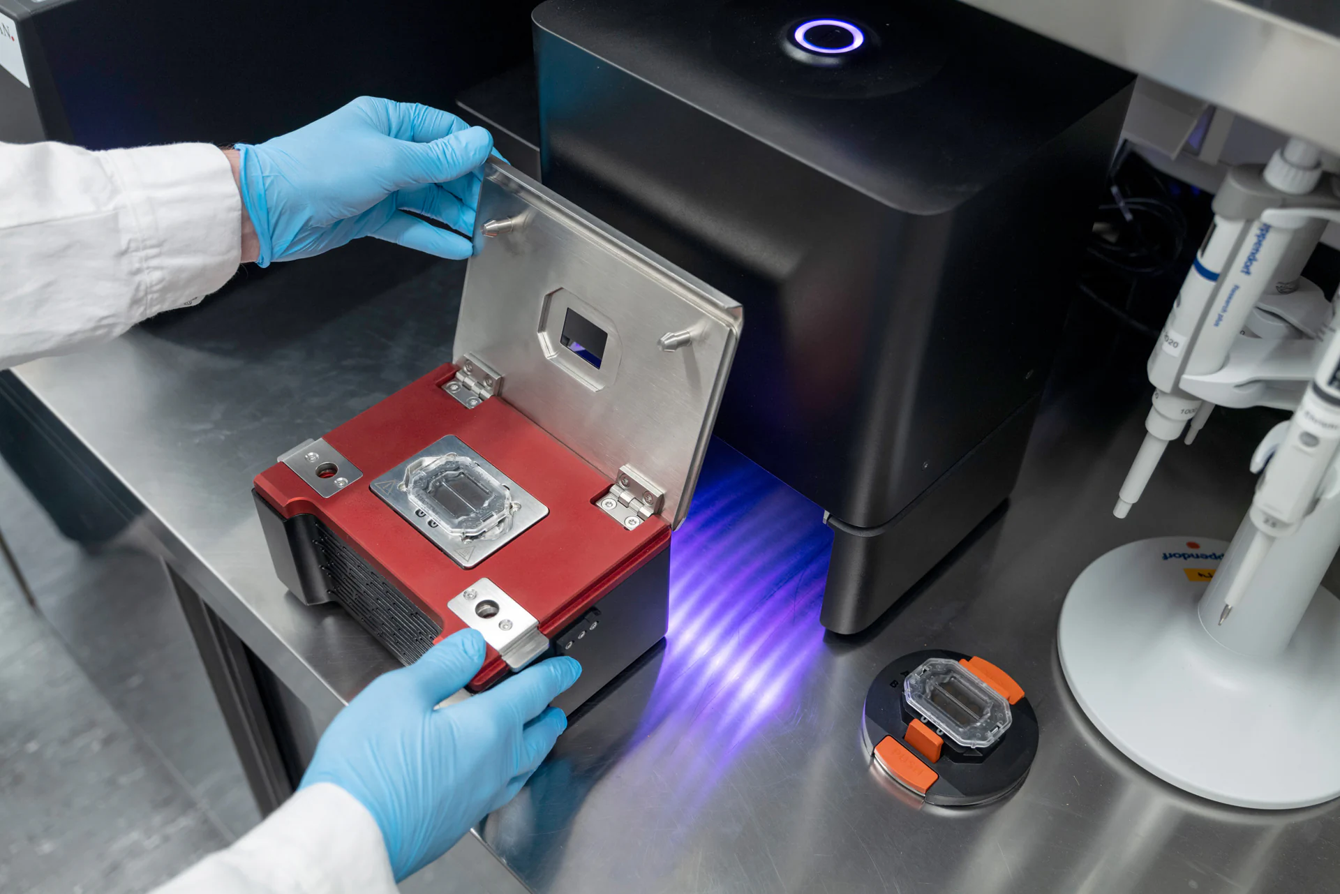 Bildbeschreibung / description: