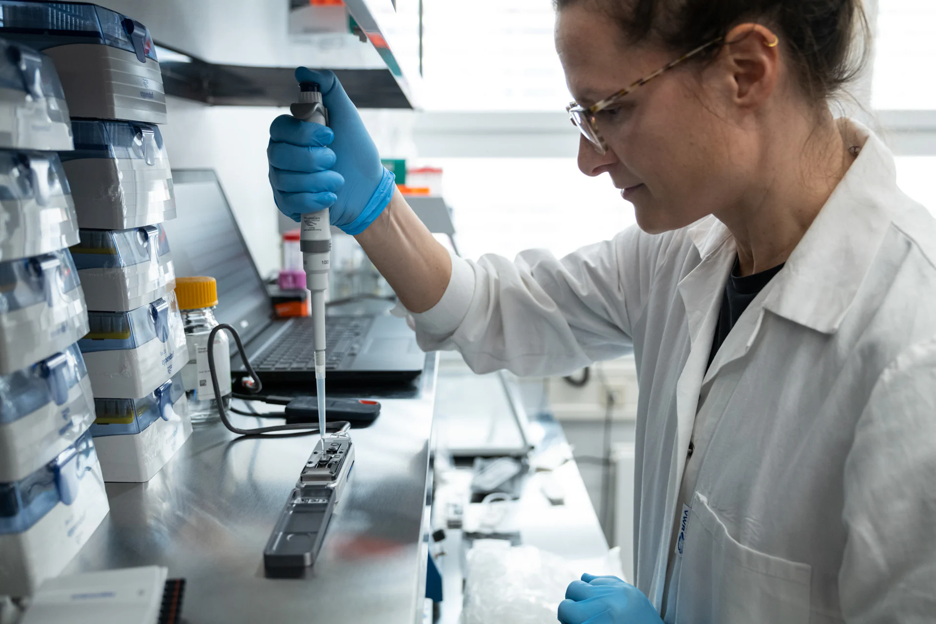 Bildbeschreibung / description: