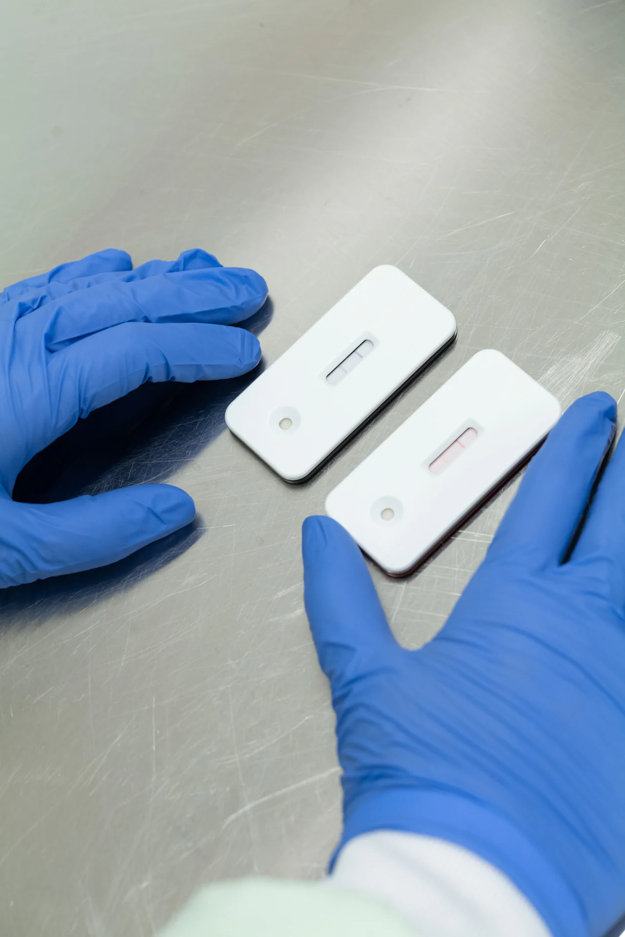 Bildbeschreibung / description: