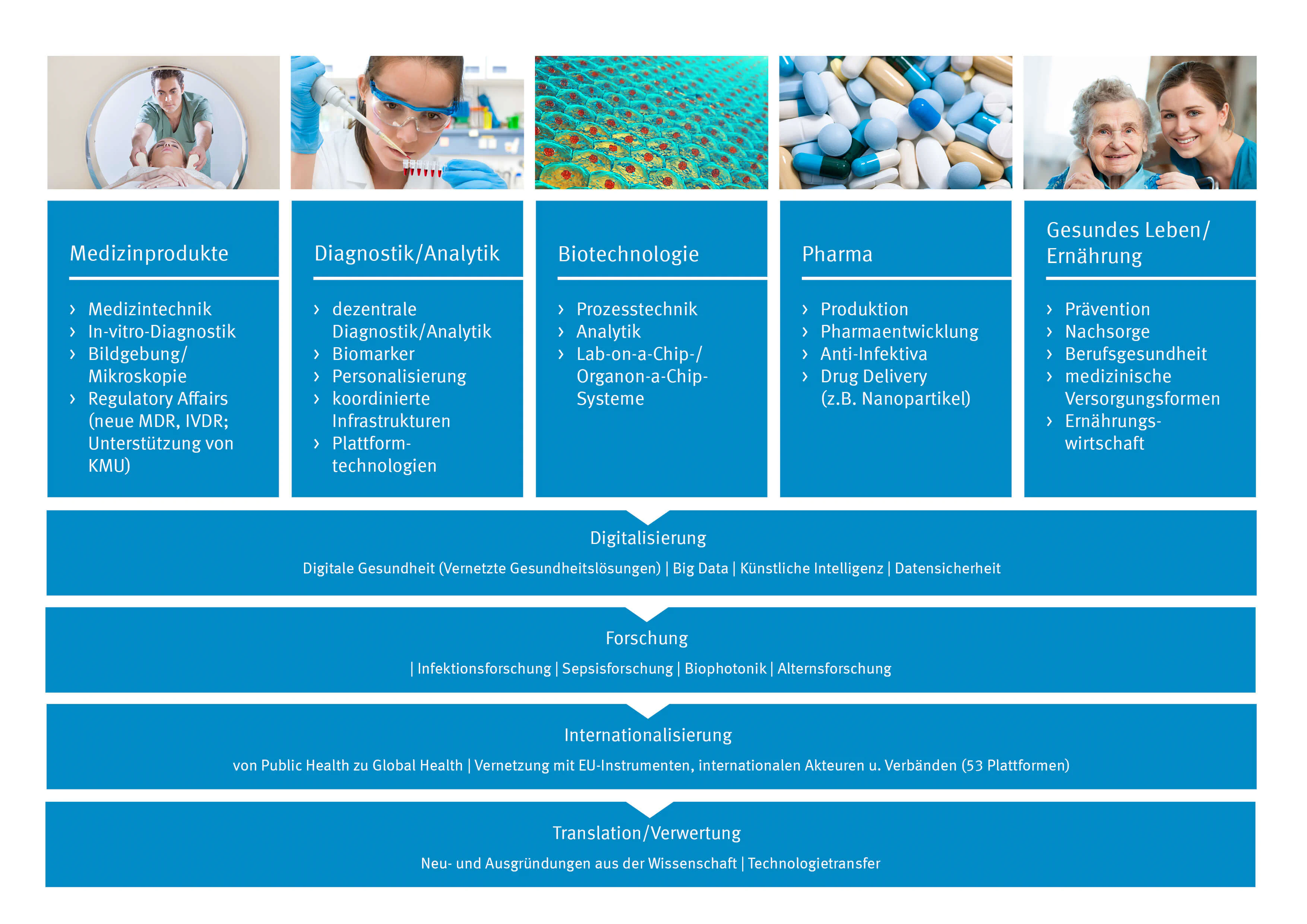 Bildbeschreibung / description: