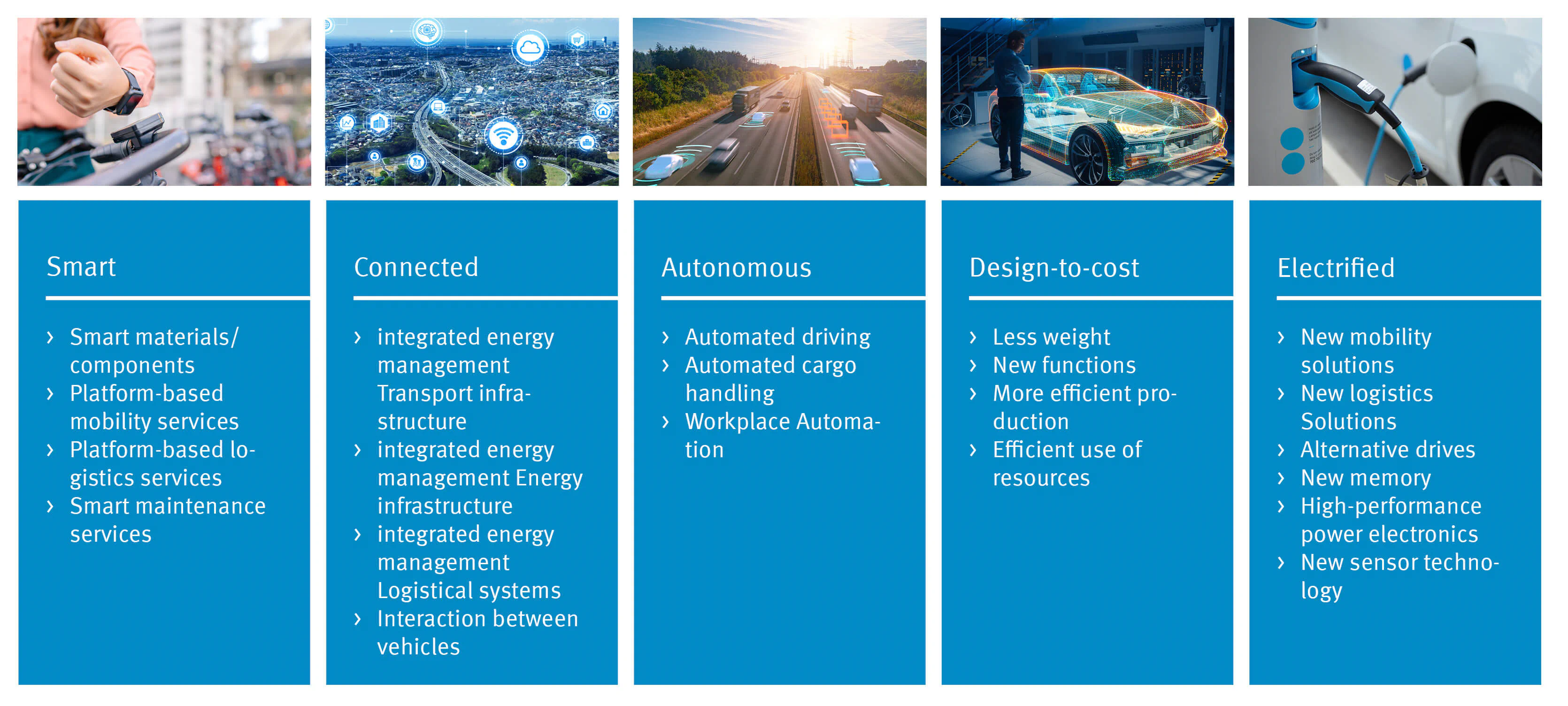 Bildbeschreibung / description: