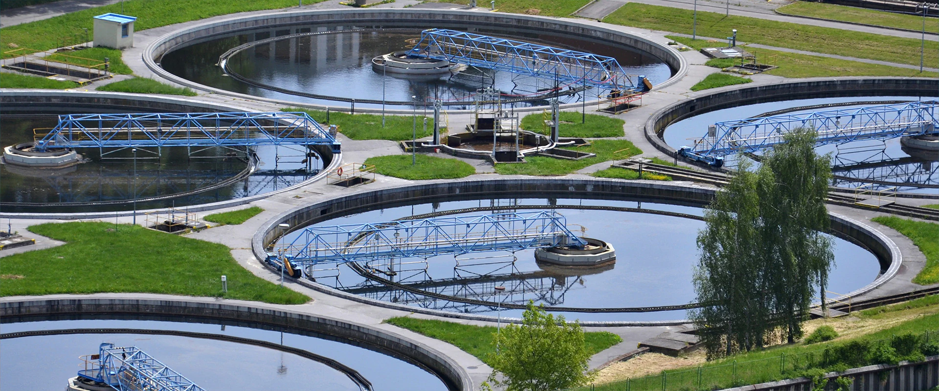 Bildbeschreibung / description: 