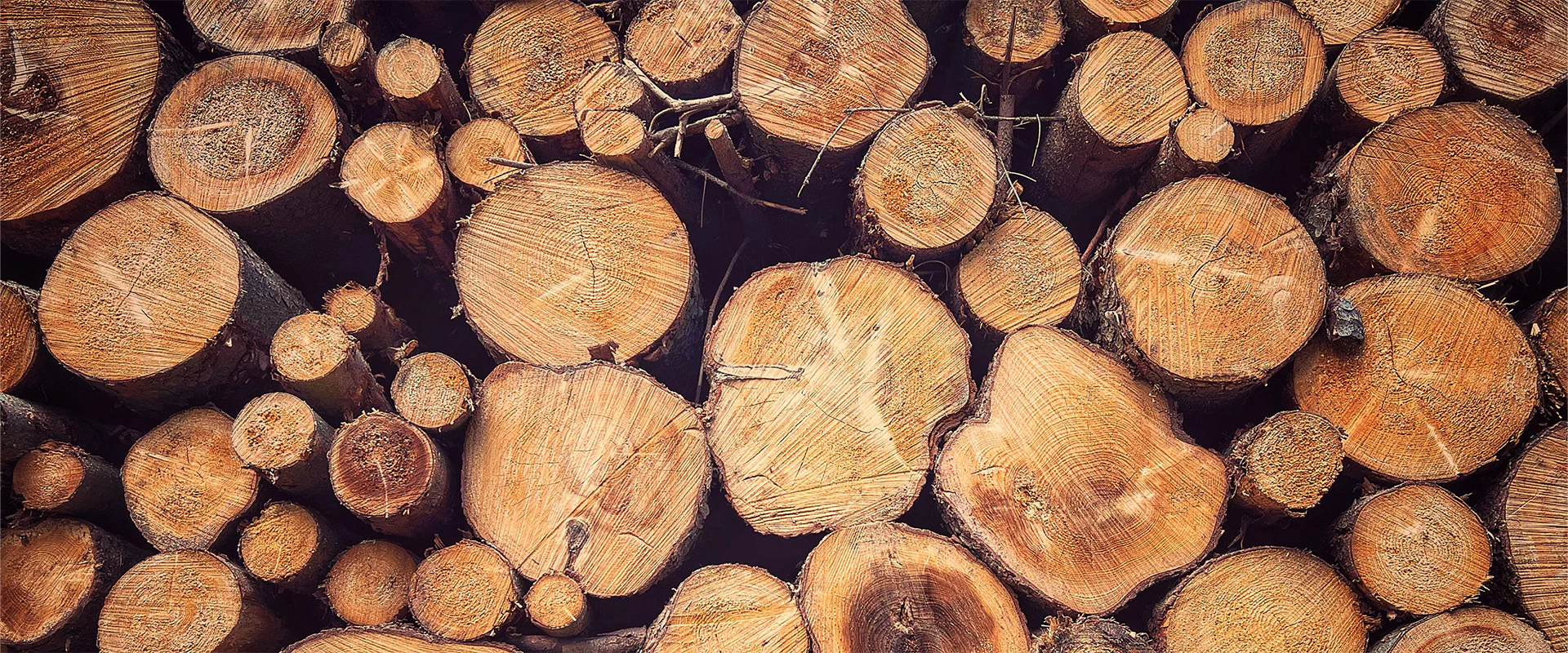 InnoLOG: Regionale Wertschöpfung durch innovationsbasierte Holzverwendung Bildbeschreibung / description: Gestapelte gefällte Baumstämme