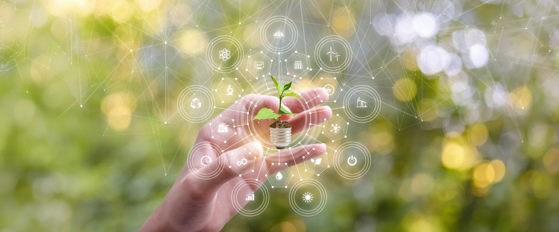 Bildbeschreibung / description: Hand mit einer Pflanze mit grünen Blättern, vor einem unscharfen Hintergrund mit grafischen, verbundenen Punkten.