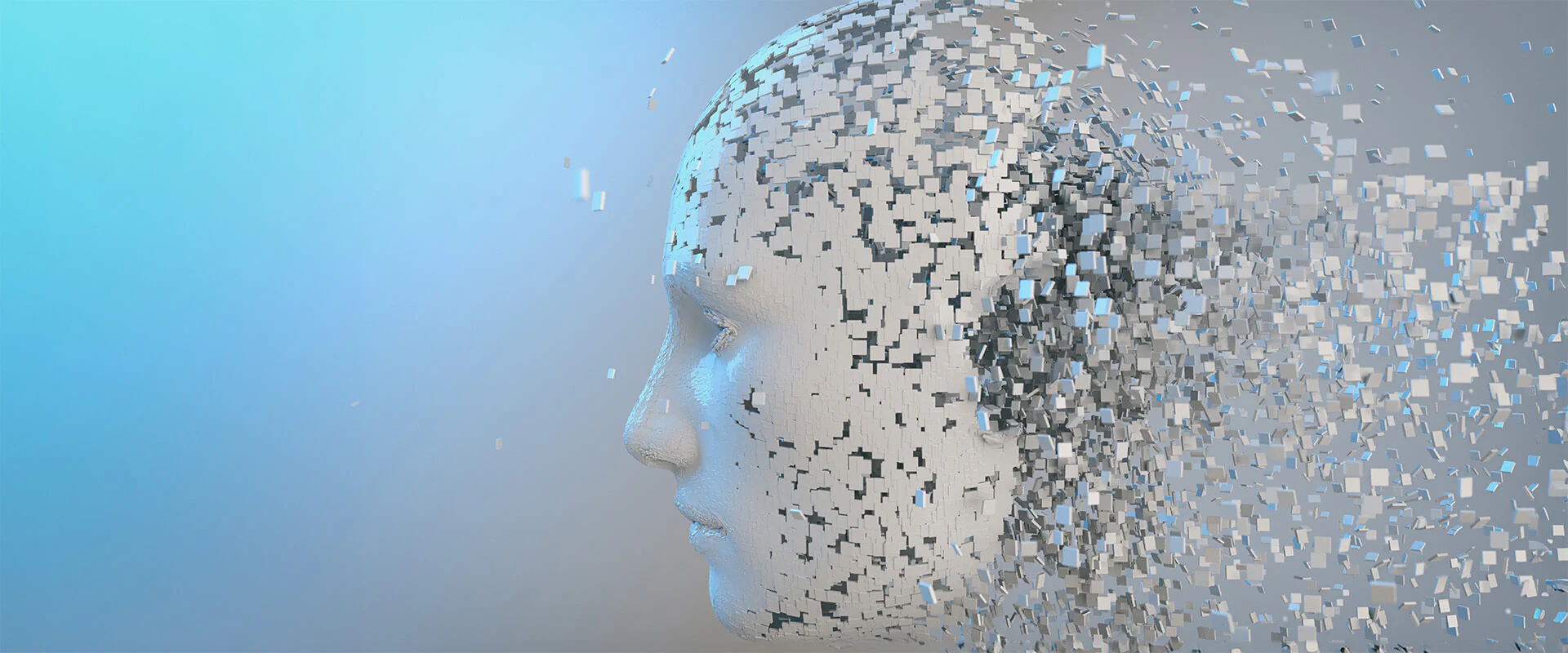 Bildbeschreibung / description: Gesicht setzt sich aus vielen kleinen weißen Quadern zusammen