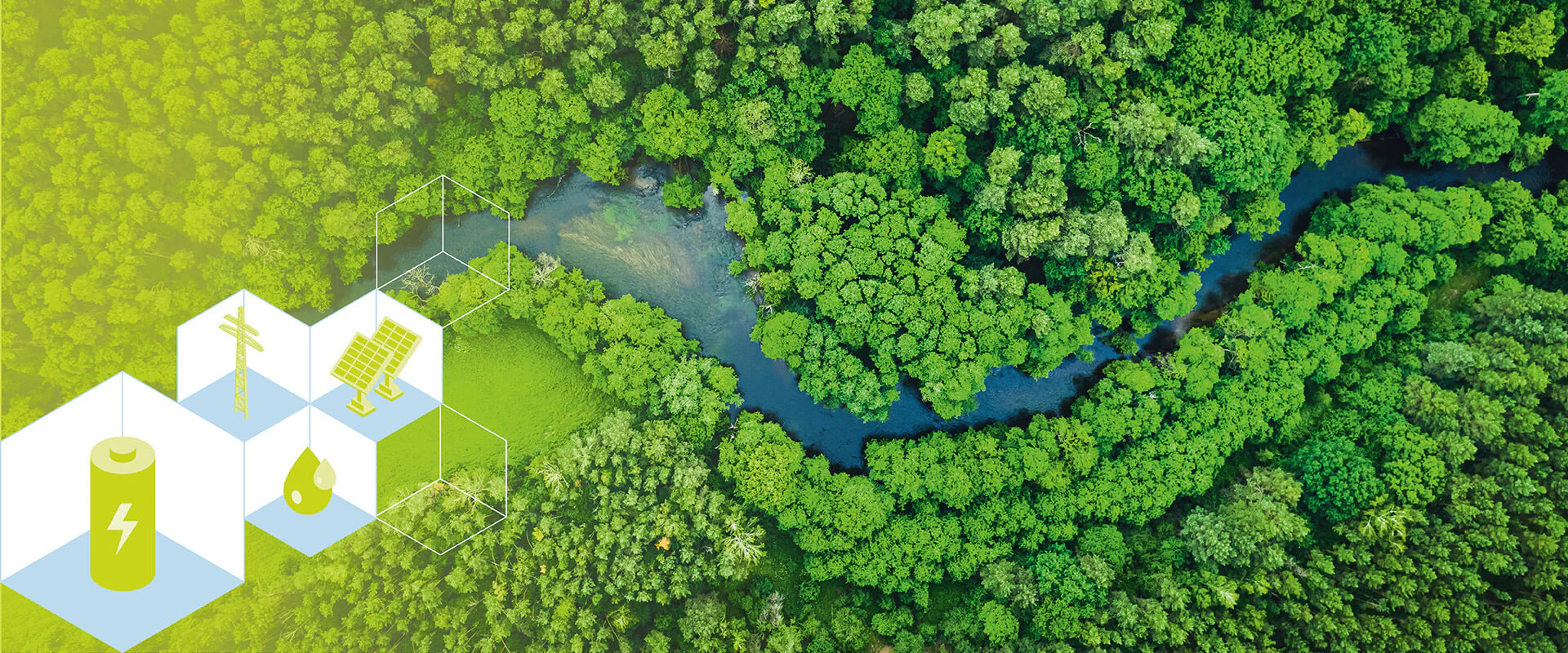 Bildbeschreibung / description: Luftbild eines mäandernden Flusses im Wald