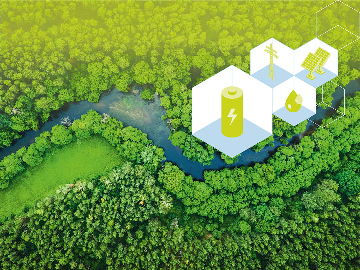 Bildbeschreibung / description: Luftbild eines mäandernden Flusses im Wald