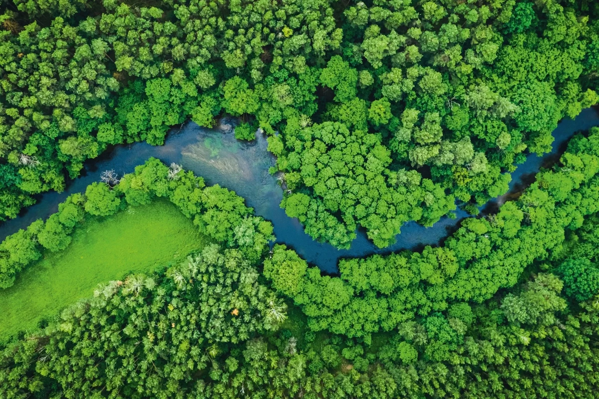 Bildbeschreibung / description: Luftbild eines mäandernden Flusses im Wald